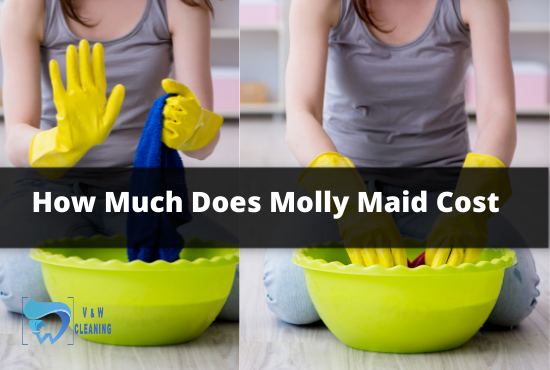 How Much Does Molly Maid Cost