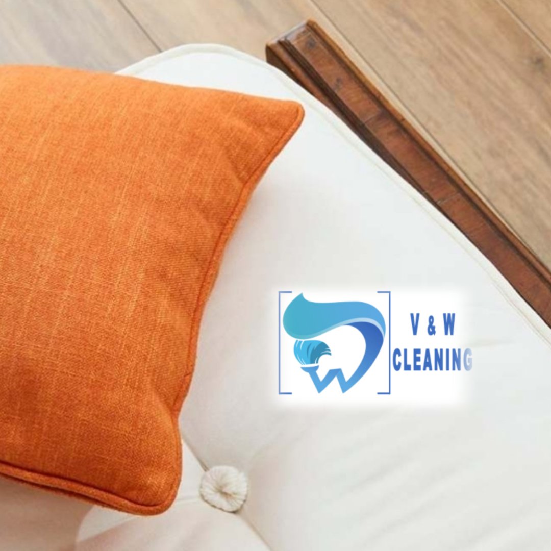 Cleaning Services After Bed Bug Treatment vw