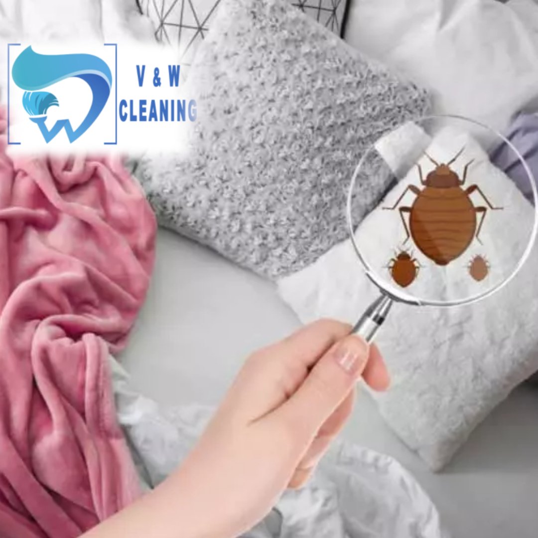 cleaning-services-after-bed-bug-treatment-vw